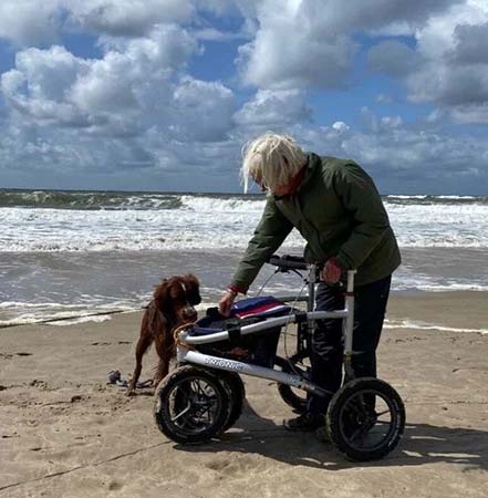 ROLLATOR TERREIN - Billige Hjælpemidler