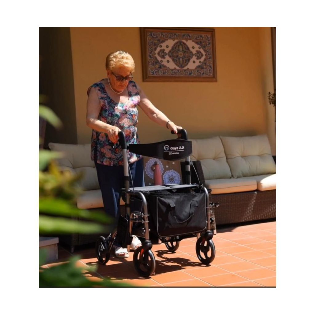 GAYA rolstoel & rollator in 1 | MORETTI
