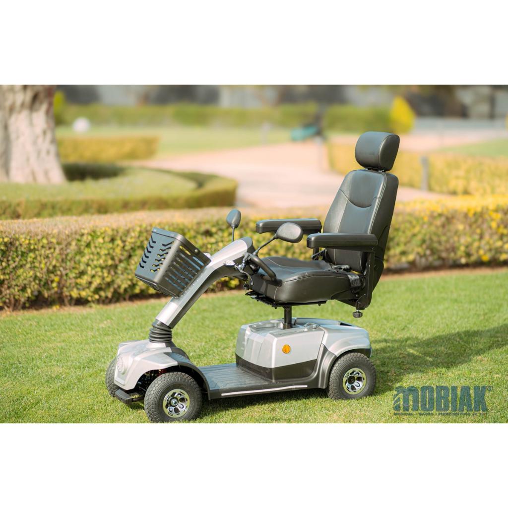 ARES Elektrische scooter | 12 km/u | 50 km | Luchtbanden
